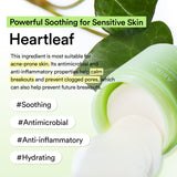 Heartleaf spot pad Calming touch